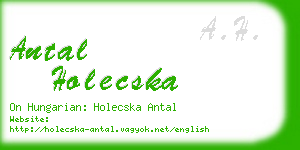 antal holecska business card